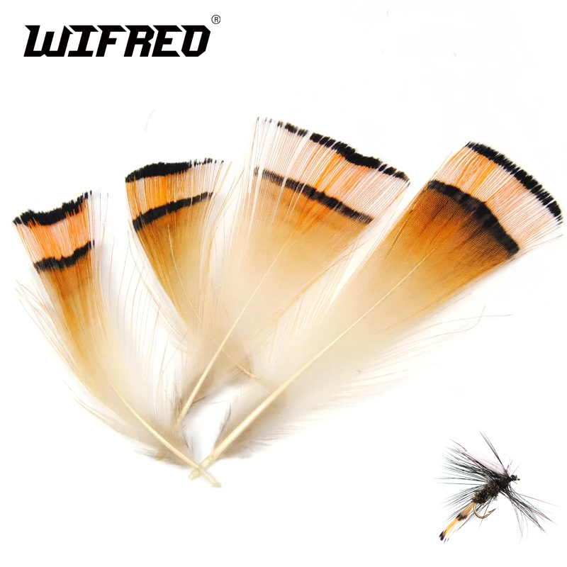 50PCS Natural Warna Emas Burun - Fishing Equipment Brands ulasan dan harga
