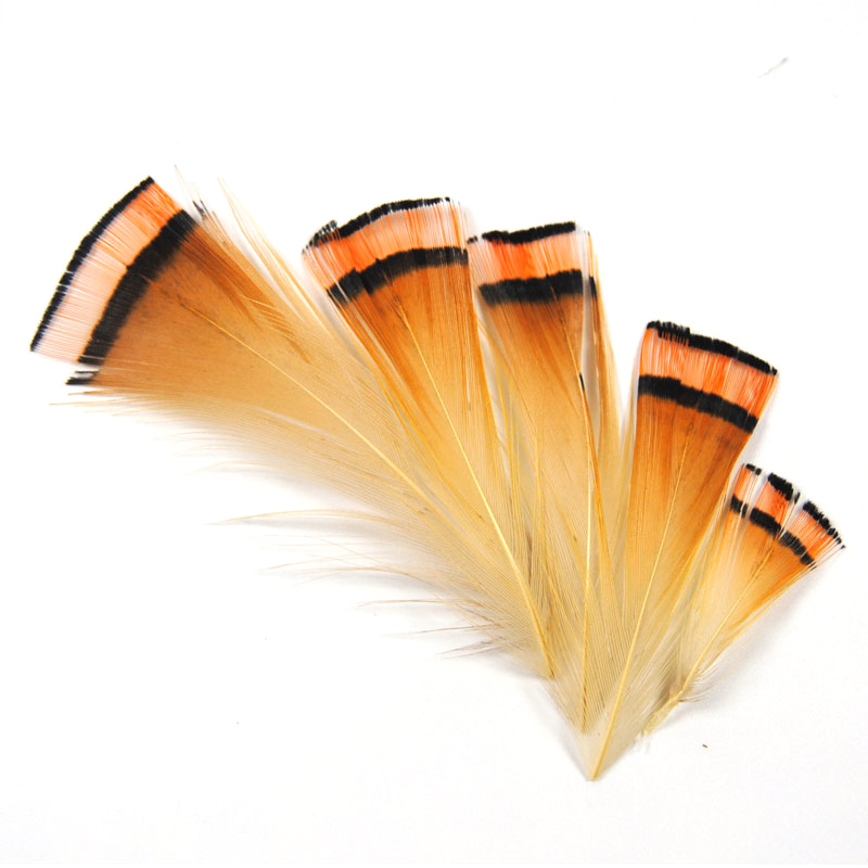 50PCS Natural Warna Emas Burun - Fishing Equipment Brands ulasan dan harga